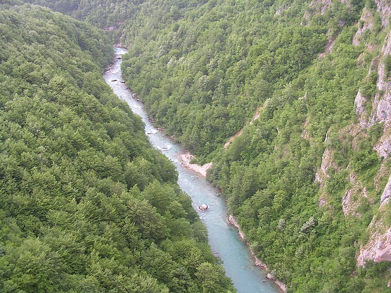128.jpg