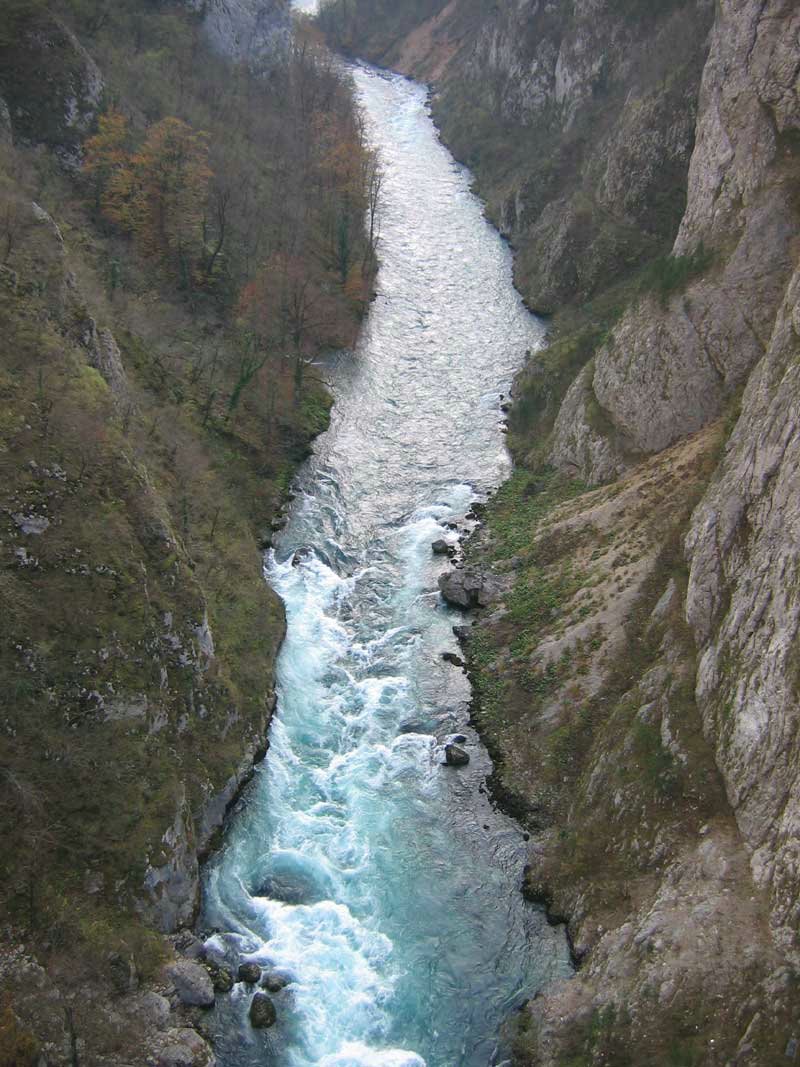 136.jpg