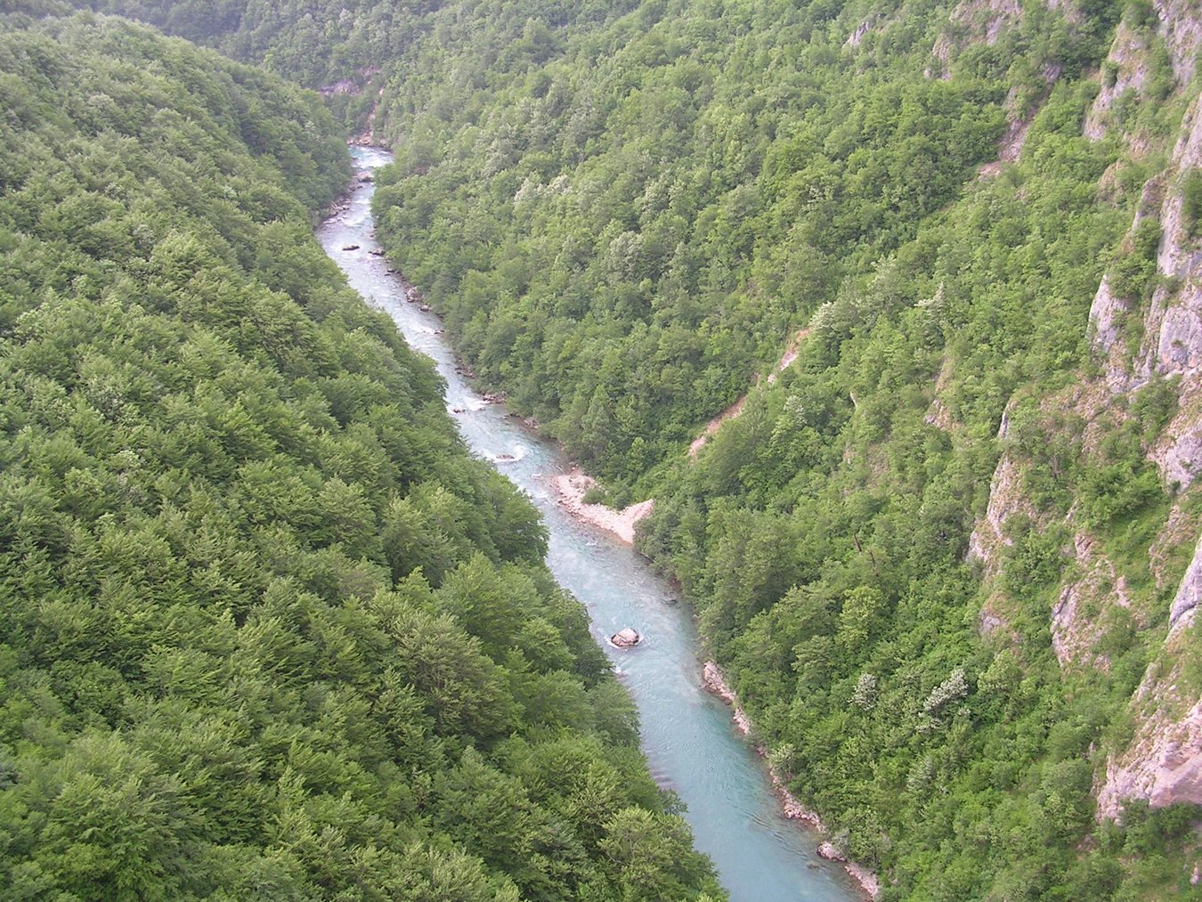 142.jpg